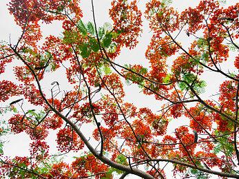 《kingmakers》10月抢先体验 中世纪动作＆战略沙盒